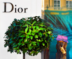 Dior, Knightsbridge