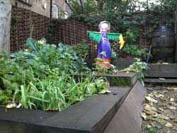 A school allotment A school allotment