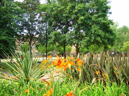 Athlone Gardens Athlone Gardens