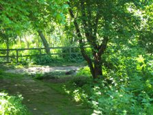 avondale park