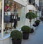 Beauchamp Place near Knightsbridge