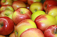 apple