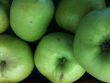 Some Bramley apples