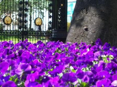 cremorne gates