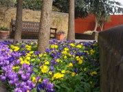 cremorne gardens