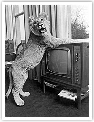 Lion standing up against TV, Elsa and Beauty in the Beast, Chelsea Gallery