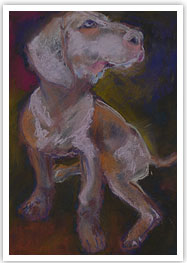 Chelsea Gallery Dog