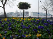 Embankment Gardens