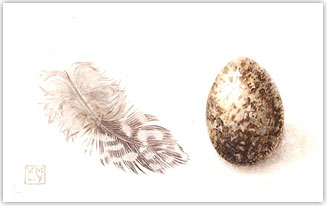 Feather and Egg by Louise Young