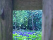 Holland Park
