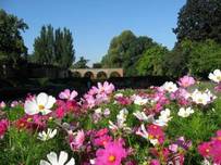 Holland park Holland park