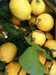 Some lemons