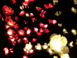 Fairy lights