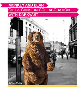 Monkey and bear Monkey and bear