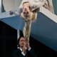 Palle Knudsen and Anne Sophie Duprels