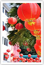 Red paper lanterns for Chinese New Year