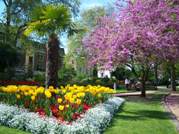 St Luke's Gardens