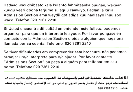 multi language starting school multi language starting school