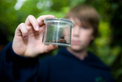Ecology Activities Ecology Activities