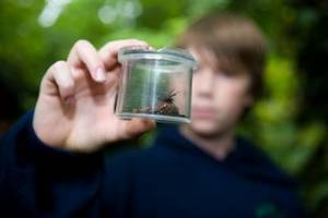 Ecology Activities Ecology Activities