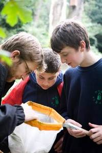 Ecology Activities