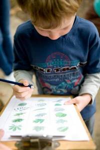 Ecology activities Ecology activities