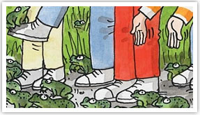 Toads in the Road literacy champions words for life Toads in the Road literacy champions words for life