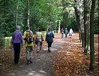 walking in the park walking in the park