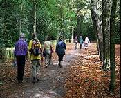 walking in the park