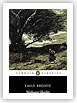 Wuthering Heights by Emily Bronte book cover image