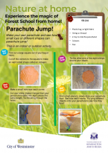 Parachutes - nature at home HP