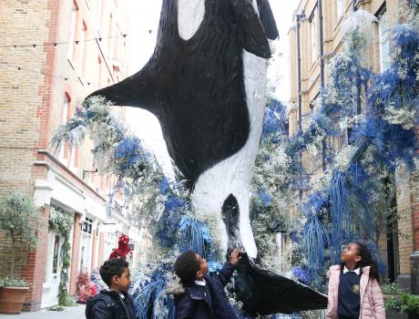 Children with floral Killer Whale