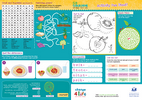 Activity sheet - front Activity sheet - front