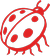 Ladybird