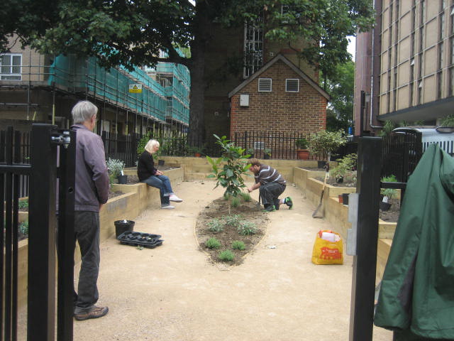 New Lorne Gardens Community kitchen garden New Lorne Gardens Community kitchen garden