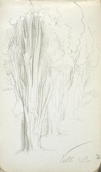 View of Trees