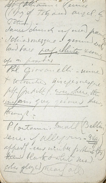 Sheet of Notes