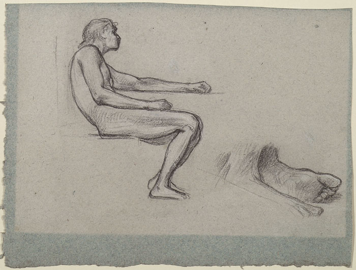 Study for 'David': David, Feet of David