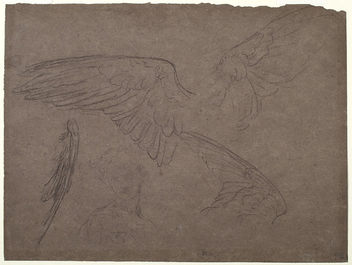 Study for 'Perseus on Pegasus': Wings of Pegasus, Female Figure