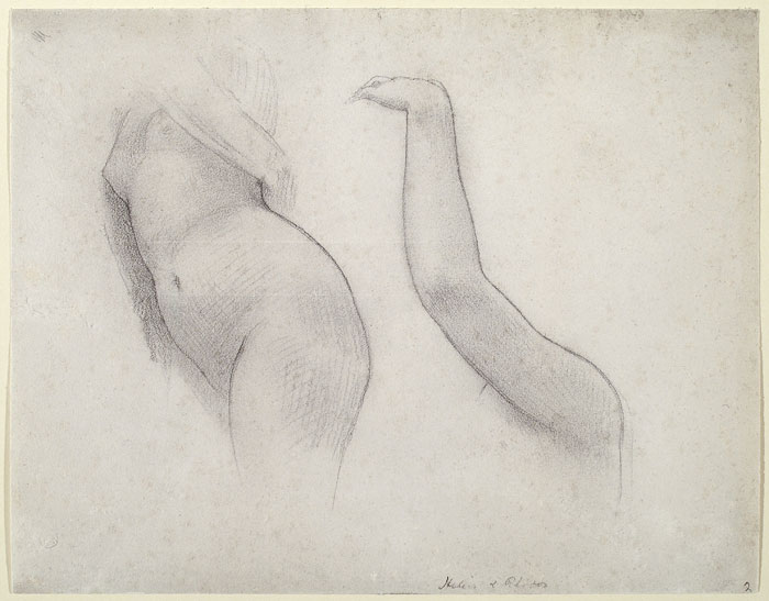 Study for 'Helios and Rhodos': Torso of Rhodos, Arm of Rhodos