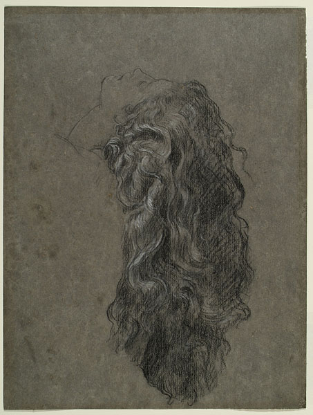 Study for 'Clytie': Hair
