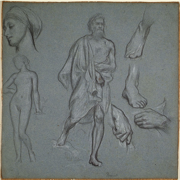 Studies of Male and Female Figures, Female Head, Male Hands, Male Feet