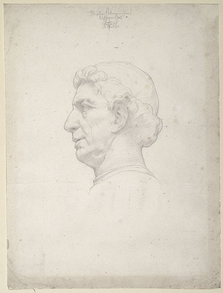 Study after a Bust by Antonio Rossellino