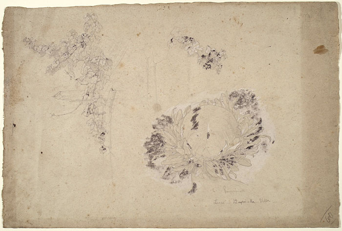 Studies of a Vine and a Head with Wreath