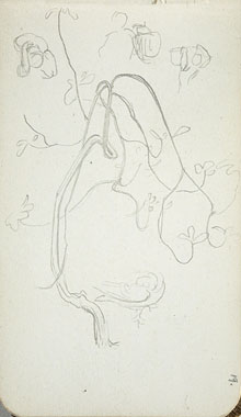 Studies of Female Figures