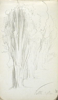 View of Trees