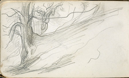 Study of a Landscape with a Tree
