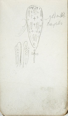 Study of a Shield
