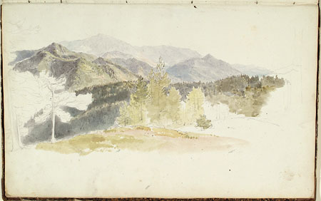View of a Landscape with Pine forests and Mountains.