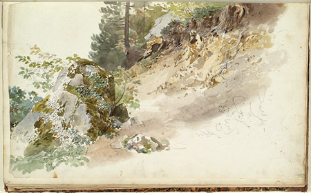 View of Woodland